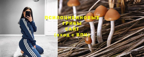 соль курить ск Нея