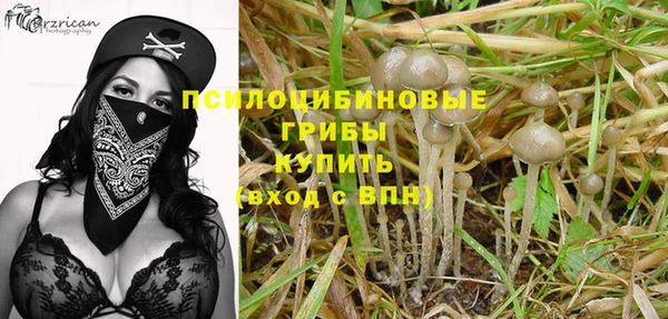соль курить ск Нея